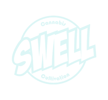 Swell