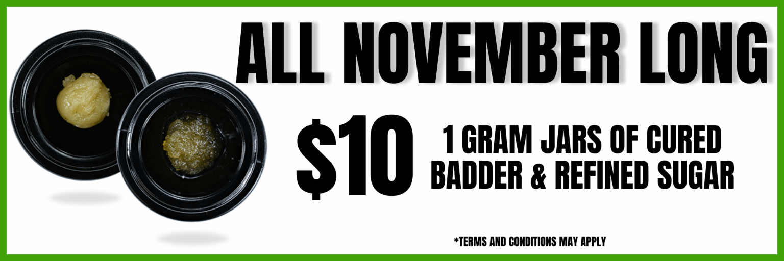 all november long (1)