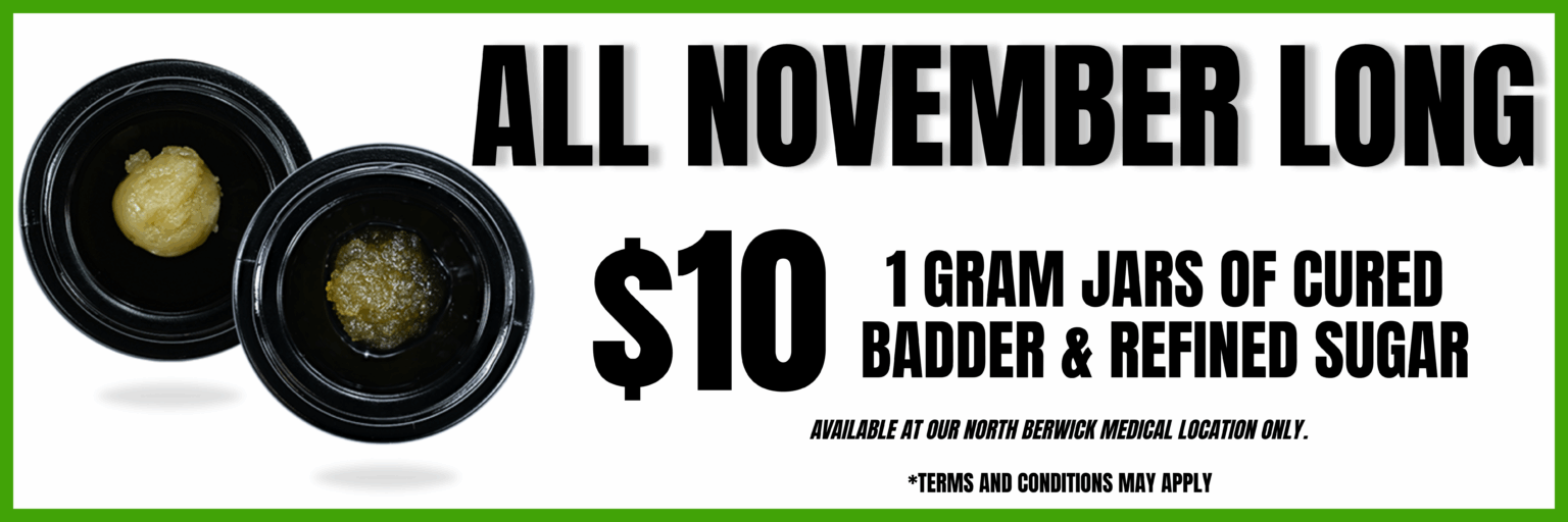 all november long (3)