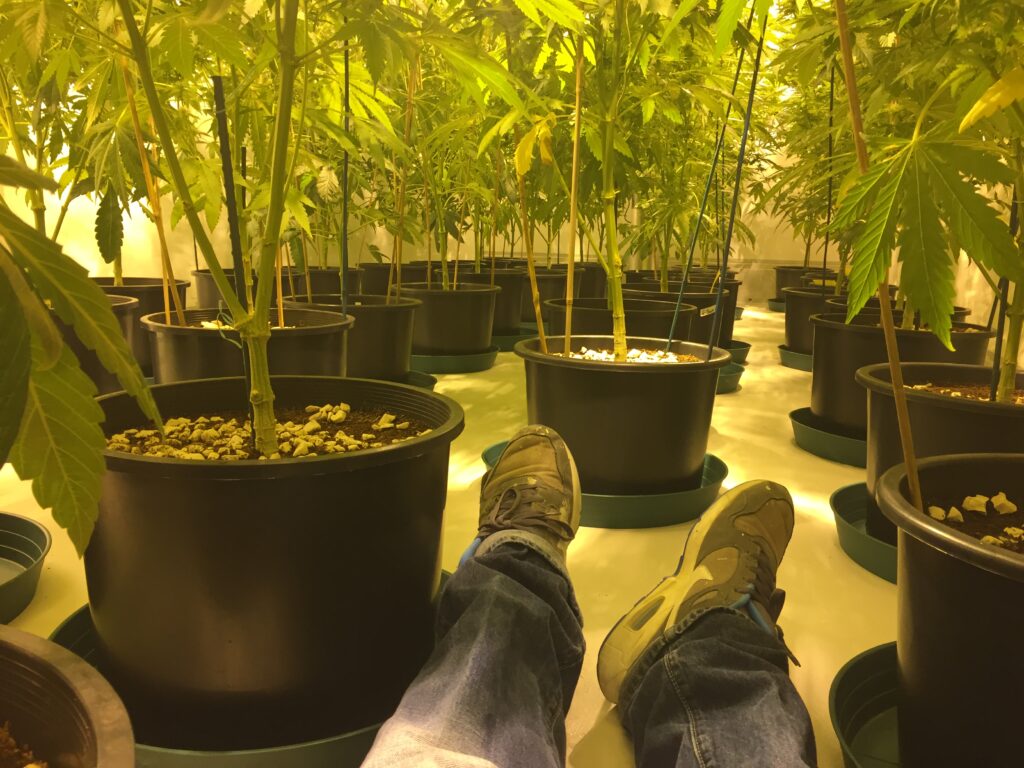 Fifty Harvests In: How Green Truck Keeps Growing - Green Truck Farms Feb 16th 2017 berwick grow life