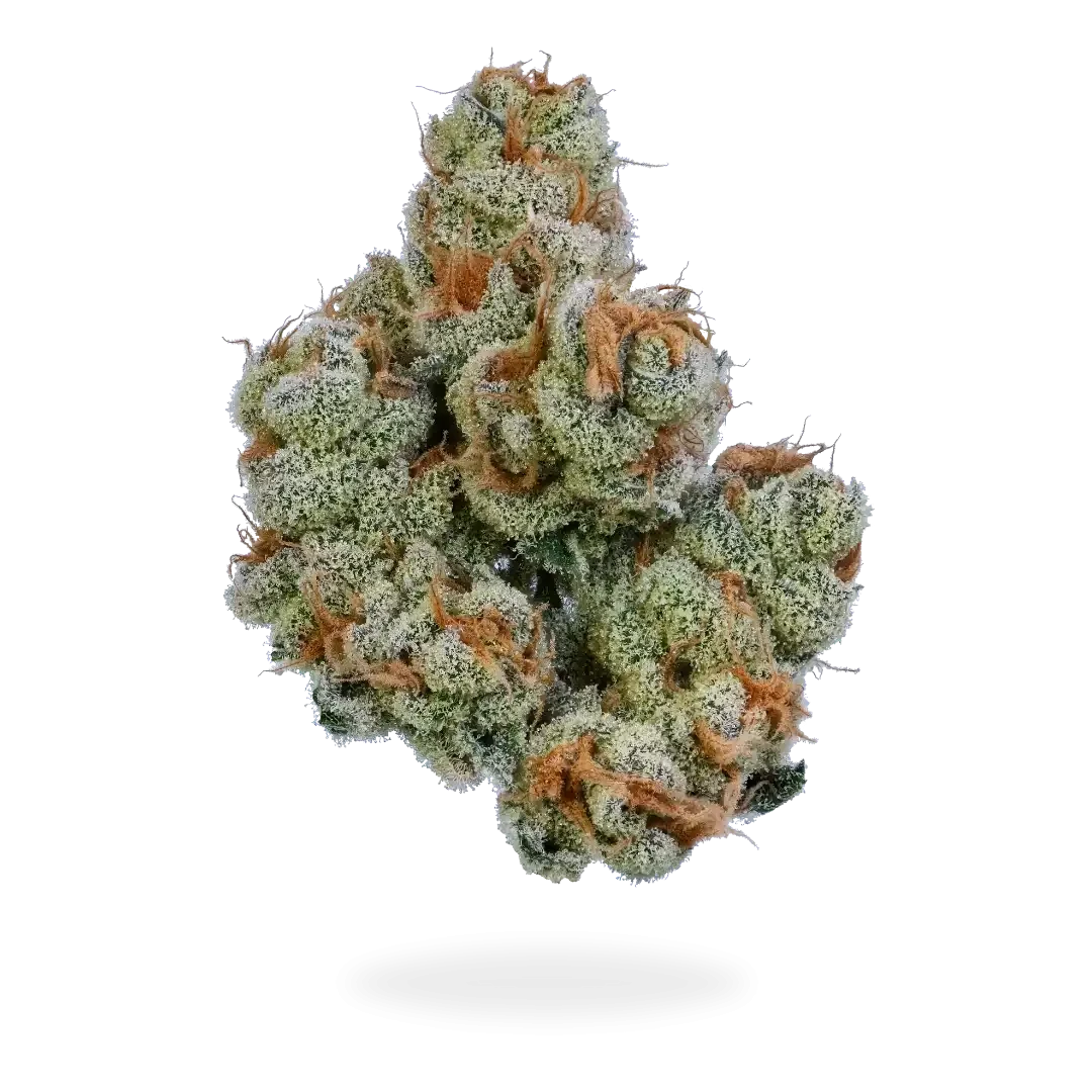 Green Truck Farms Hybrid Strain Image