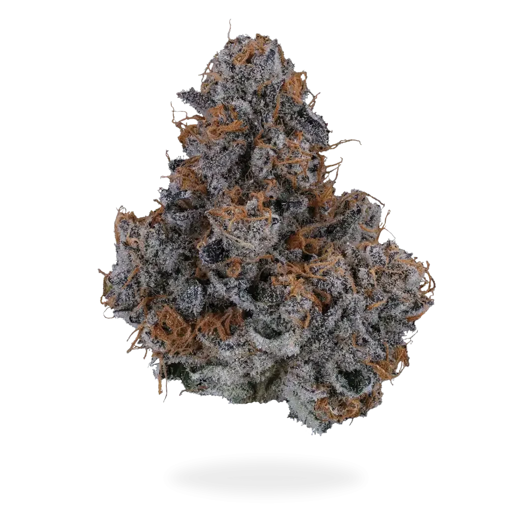 Green Truck Farms Indica Strain Image