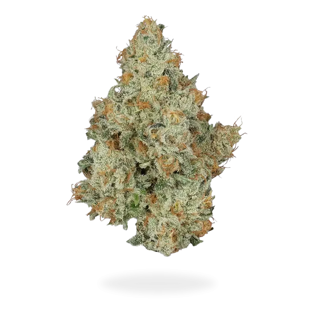 Green Truck Farms Sativa Strain Image